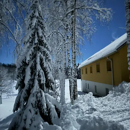 Hostel Moedaku Puhkekeskus Mõedaka